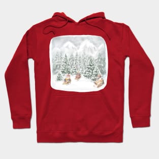 winter holidays with cute animals Hoodie